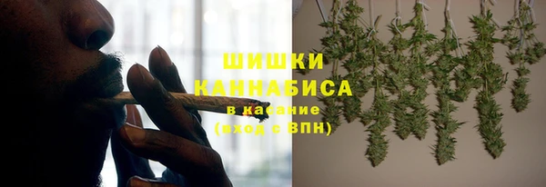 ешки Алексин