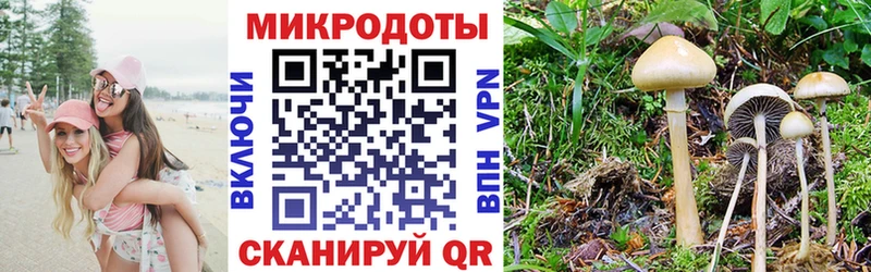 где можно купить   Уяр  блэк спрут зеркало  Галлюциногенные грибы Psilocybe 